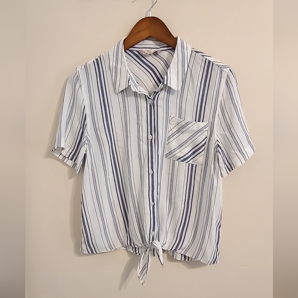 Pink Rose Blue and White Striped Button-Down Shirt